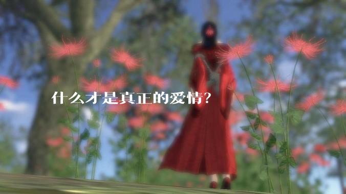 什么才是真正的爱情？