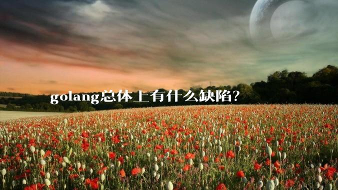 golang总体上有什么缺陷？