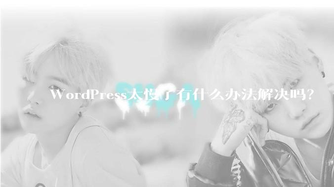 WordPress太慢了有什么办法解决吗？