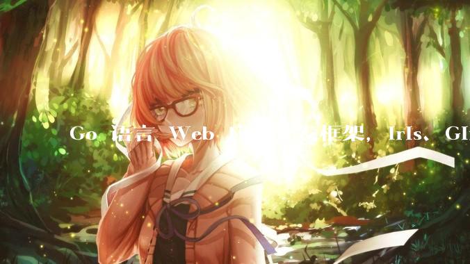 Go 语言 Web 应用开发框架，Iris、Gin、Echo，哪一个更适合大型项目？